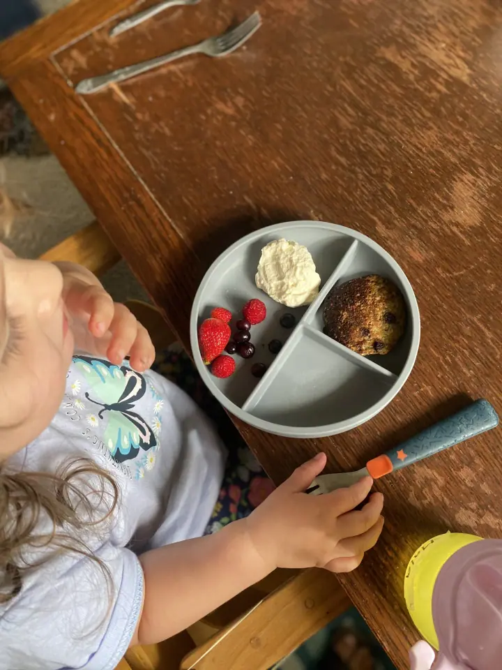 A top-down view of a blue divided plate at mealtime.