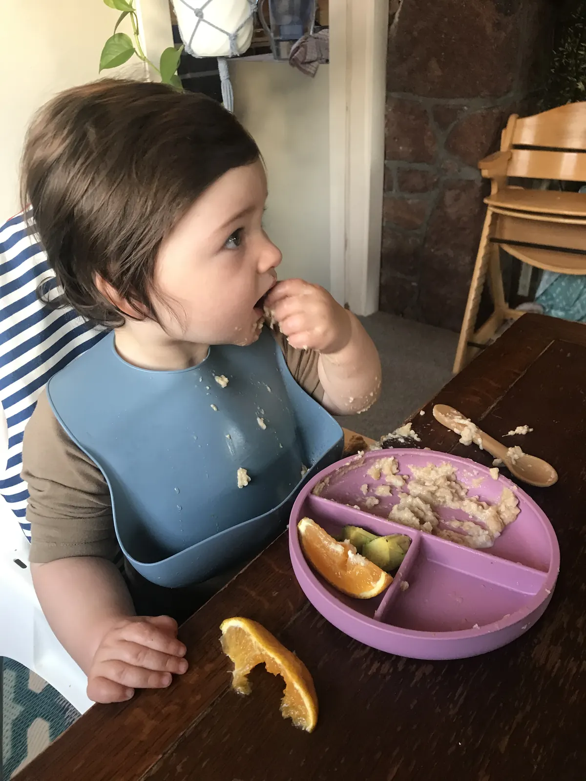 A young toddler exploring food from the divided plate.